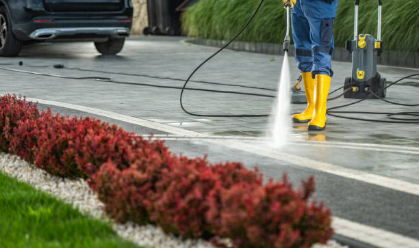 Best Building Exterior Washing  in Nedrow, NY